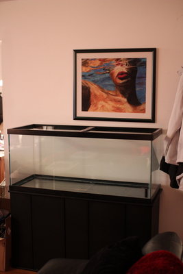 IMG_0372.JPG (150.75 KiB) Viewed 10322 times IMG_0372.JPG