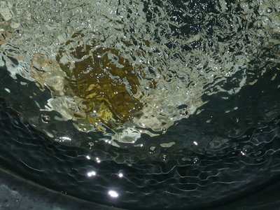 P1010064.JPG