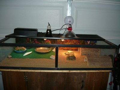 P1010517.JPG (131.49 KiB) Viewed 25077 times P1010517.JPG