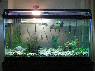 Tank Front View.JPG