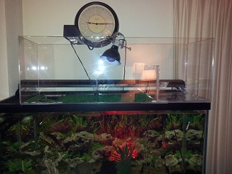 ATBA Before Decor.jpg