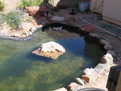 Turle pond2.JPG