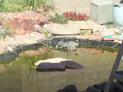 2012-02-25 14.04.21.jpg