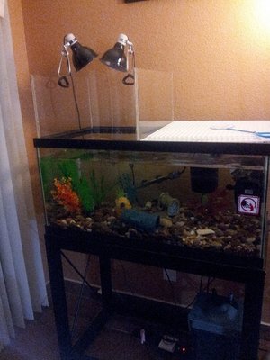20121029_210424.jpg