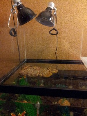 20121029_210436.jpg