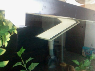 2013-03-03 10.23.18.jpg