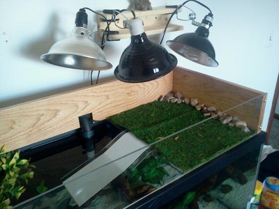 2013-03-03 10.23.32.jpg