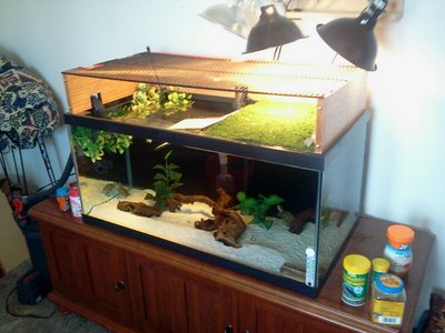 2013-03-03 10.37.11.jpg