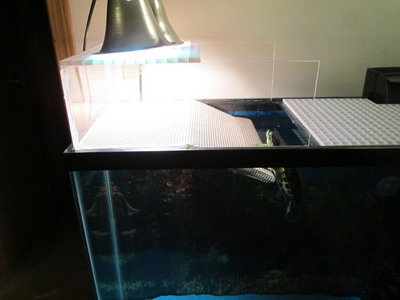 photo.jpg