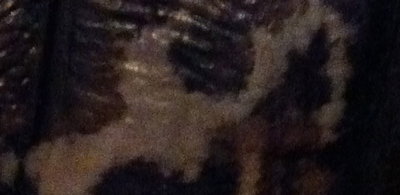 IMG_0254.jpg