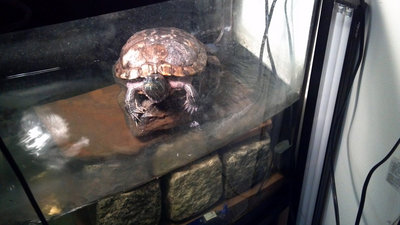 2013-04-28_12-50-04_759.jpg