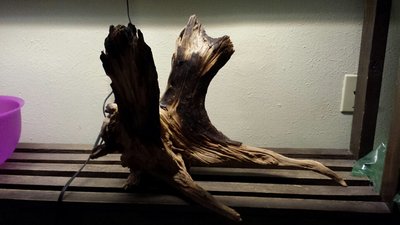 driftwood.jpg