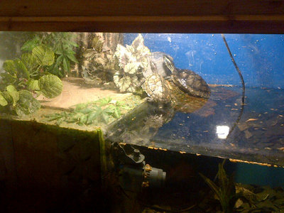 IMG-20131120-00029.jpg