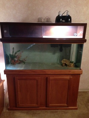 Overall view-empty smaller.jpg