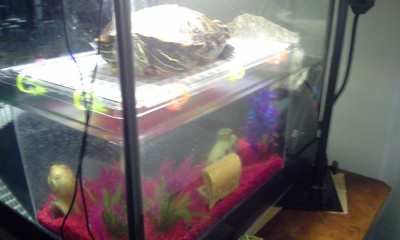 20140606_163954.jpg