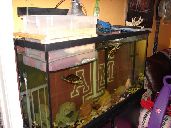 Tank1.jpg