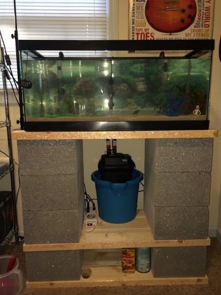 03302015 Fluval 406 (3).JPG