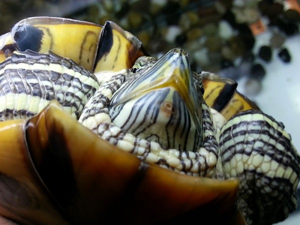 20150619_172801.jpg