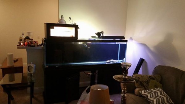 125G.jpg