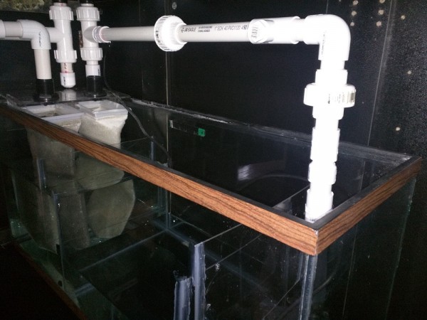 Full Sump View.jpg