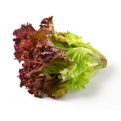 lettuce_red_leaf.jpg