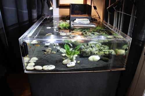 basking area front view.jpg