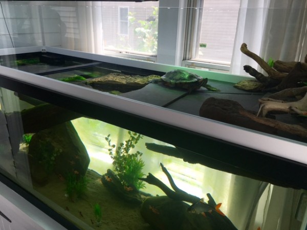 FullSizeRender (4).jpg