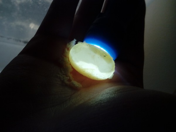 egg3.jpg