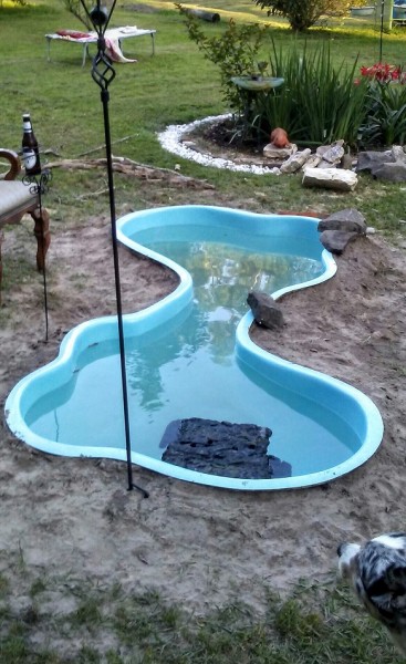 outdoor pond smaller.jpg