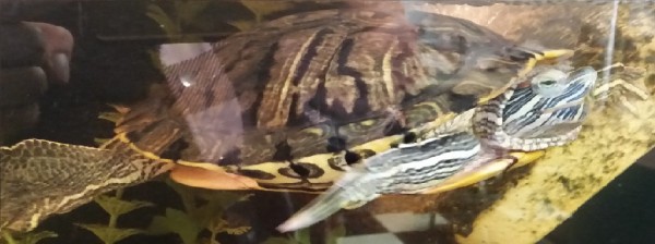 20171225_133201.jpg