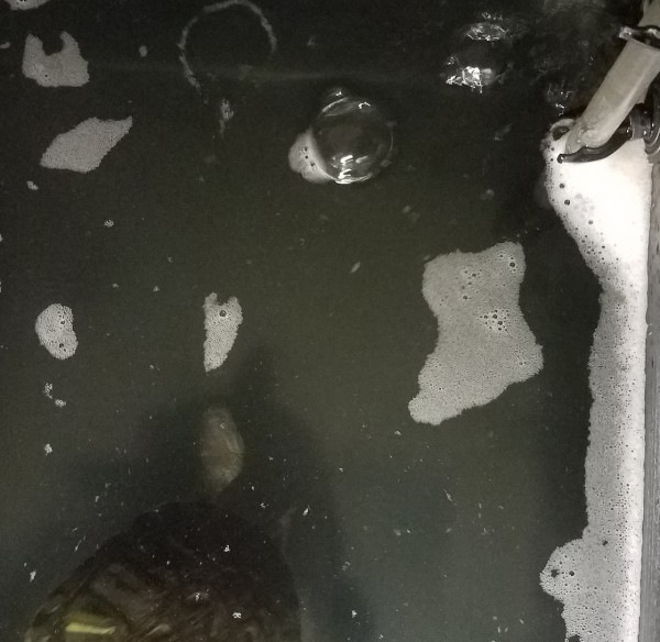 20180222_180737.jpg (349.15 KiB) Viewed 7297 times 20180222_180737.jpg