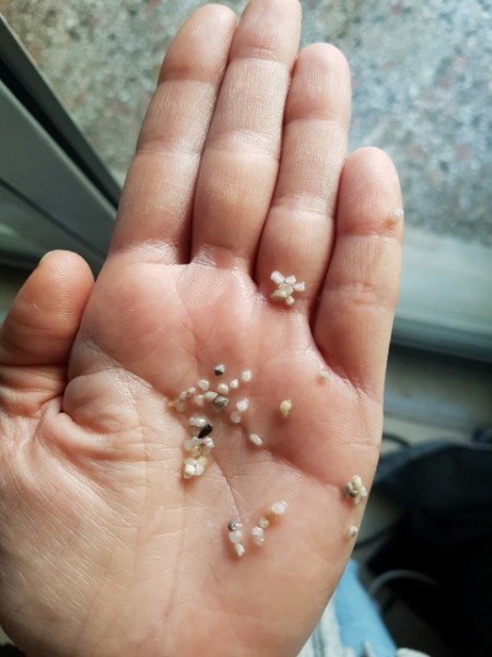 20190313_121129.jpg