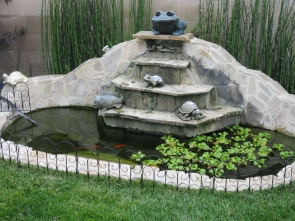 pond1.jpg