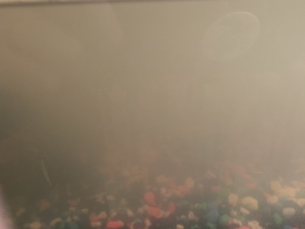39224109-124A-4D15-8C3F-9011643737C6.jpeg