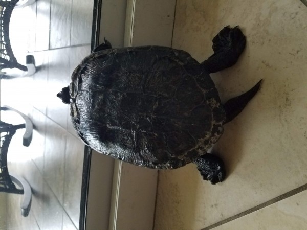 Impatient 20200216_131150.jpg