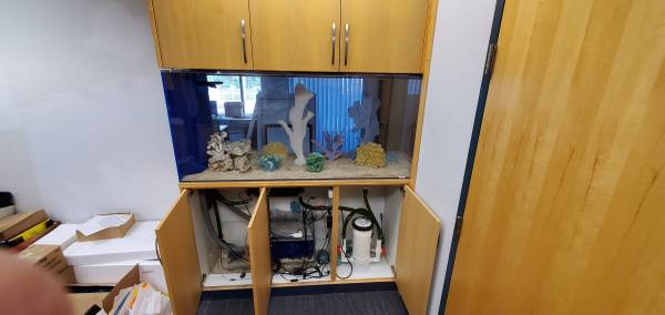 01313_b8xUl2Lf6RB_0CI0im_600x450[1].jpg