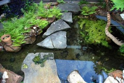 Pond_Compress.jpg