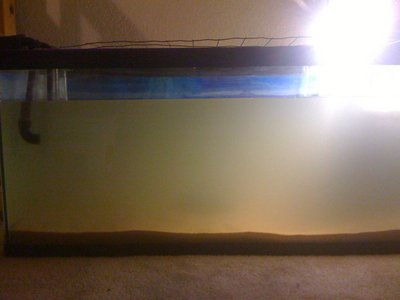 Photo Jun 12, 1 05 53 AM.jpg