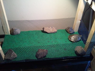 2011-07-29 17.40.30.jpg
