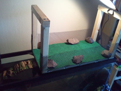 2011-07-30 11.51.28.jpg