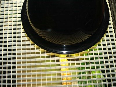 looking_down_aluminum_egg.jpg