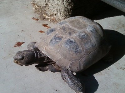 0903090604.jpg (87.07 KiB) Viewed 6775 times 0903090604.jpg