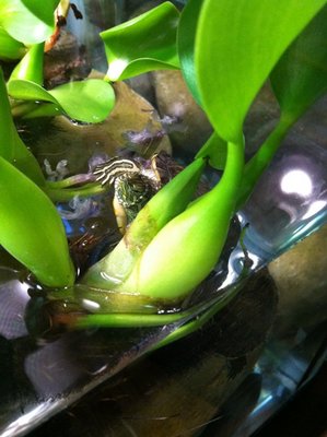 photo (2).JPG