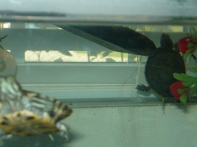 P1000722.JPG