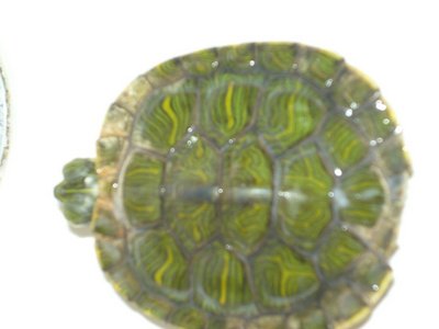 P1010264.JPG