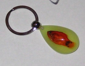 Lucite_Keyring_With_Real_Fish_Inside__Real_Fish_Keychains_real_fish_key_holder_.jpg