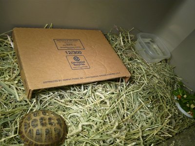 P1010390.JPG (171.07 KiB) Viewed 29559 times P1010390.JPG