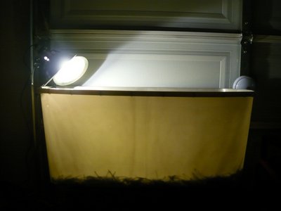 P1010394.JPG (71.15 KiB) Viewed 29559 times P1010394.JPG