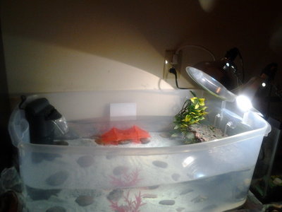 2011-11-28 21.49.32.jpg