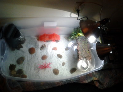 2011-11-28 21.51.39.jpg